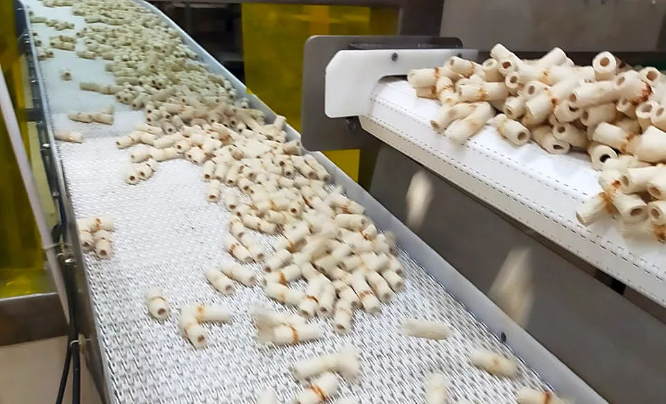 Modular & Belt Conveyors — MK Technindo